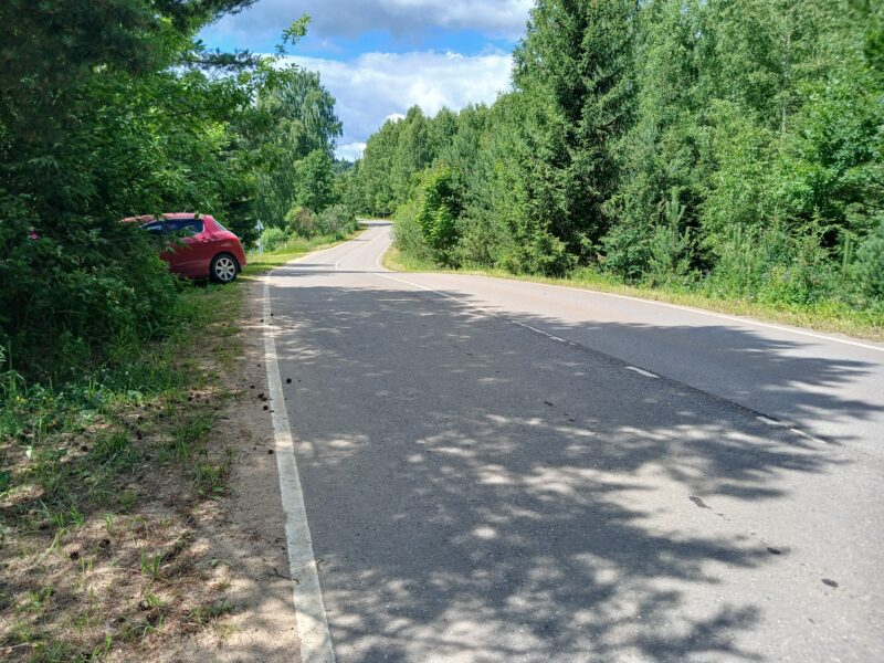 Автодорога (лыжероллеры) Н Горбово — Лызлово, состояние на 28 июня 2026 по отзыву, фото 2. 